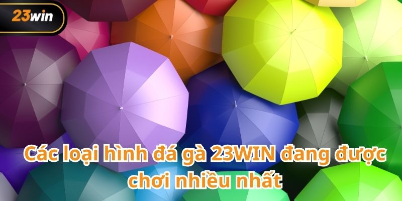 Đá gà 23WIN