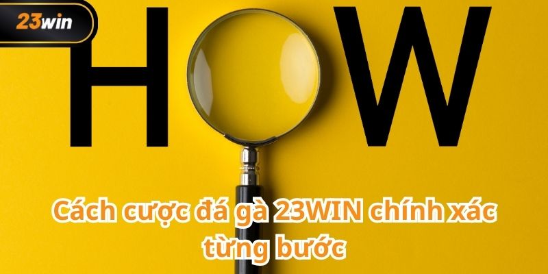 Đá gà 23WIN