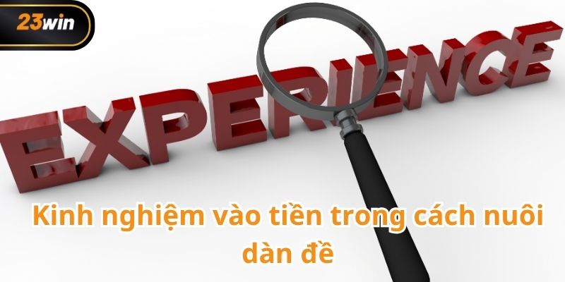 Cách nuôi dàn đề
