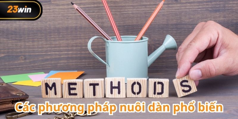 Cách nuôi dàn đề