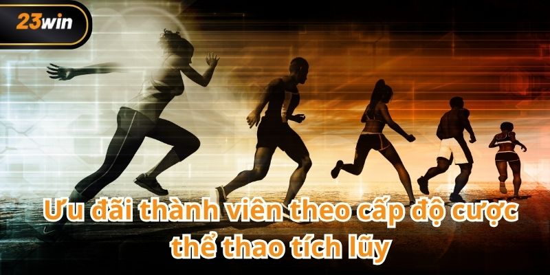 Thể thao 23WIN